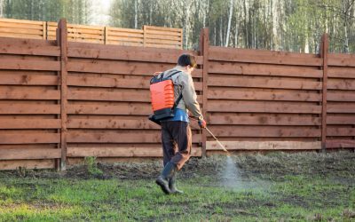 How Tree and Shrub Insect Control in Clarksville, IN Protects Your Landscape Year-Round