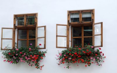 Improve Curb Appeal And Insulation By Selecting Custom Wood Windows Tailored To Your Style