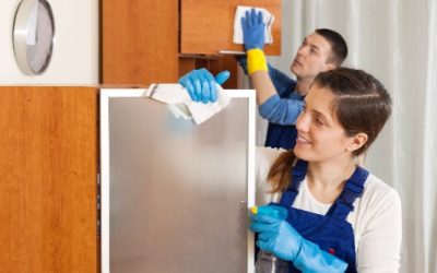 Keep Allergens Away by Choosing Home Cleaning In Scotch Plains, NJ for a Healthier Home