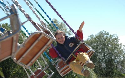 Choosing Kids Swing Sets Westfield IN for Outdoor Adventures at Home