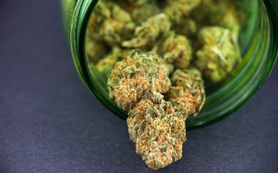 Experience the Benefits of Shopping Hemp Concentrates Online With Fast USA Delivery