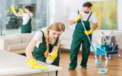 Create a Healthier Home With Help From Maid Services In St. Peters, MO Experts