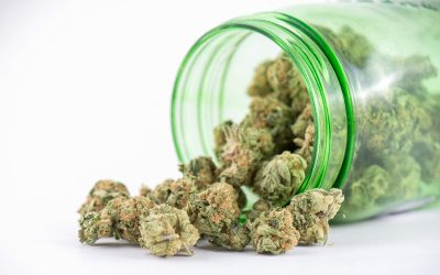 Finding Reliable THCA Flower in the USA for Informed Consumers