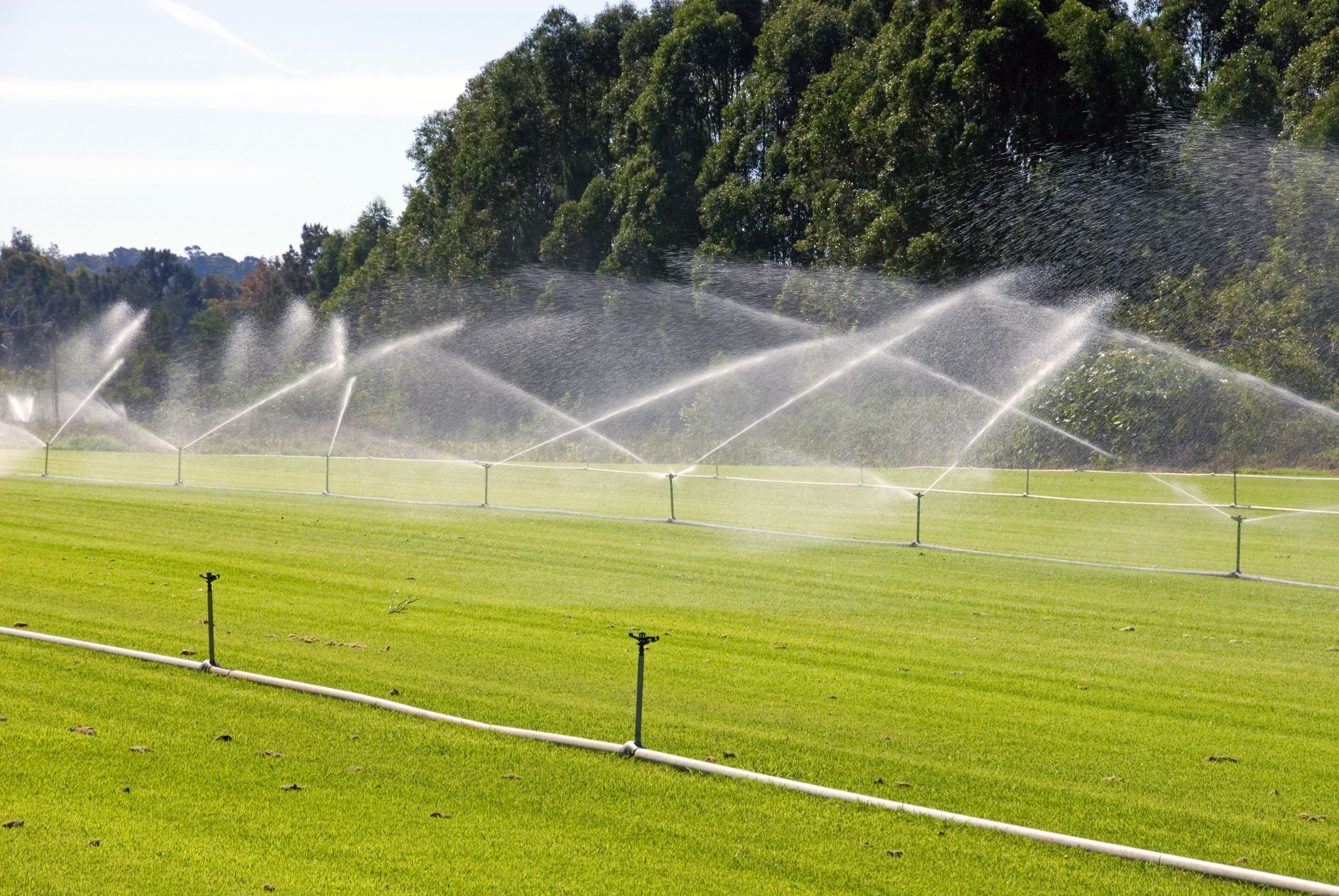 Irrigation System Info: Benefits of Commercial System Installation Boulder CO