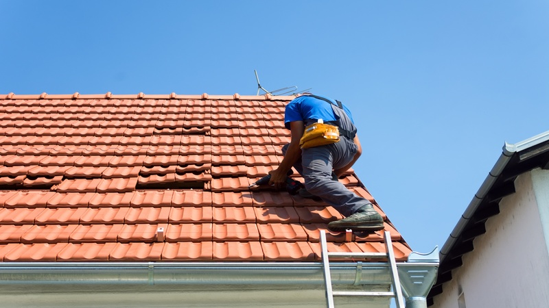 Important Information to Know About Green Roofing Services and Their Benefits