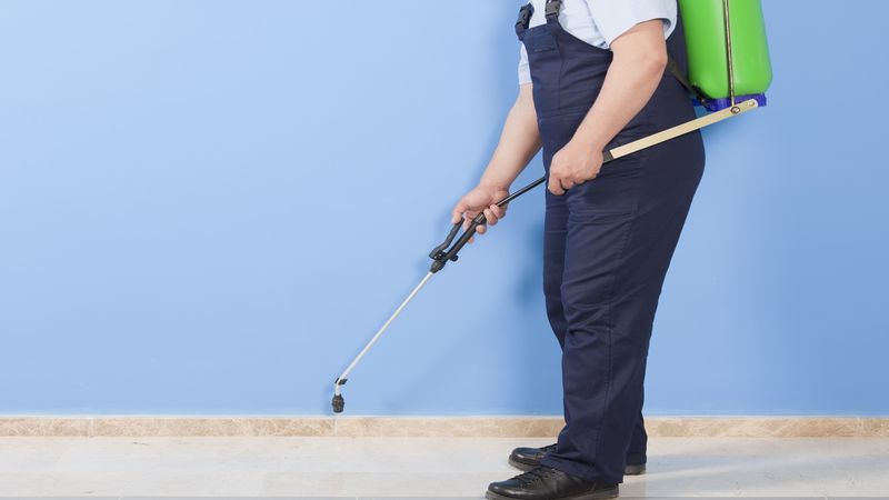 5 Reasons to Place a Call to a Pest Control Company in Goodyear, AZ
