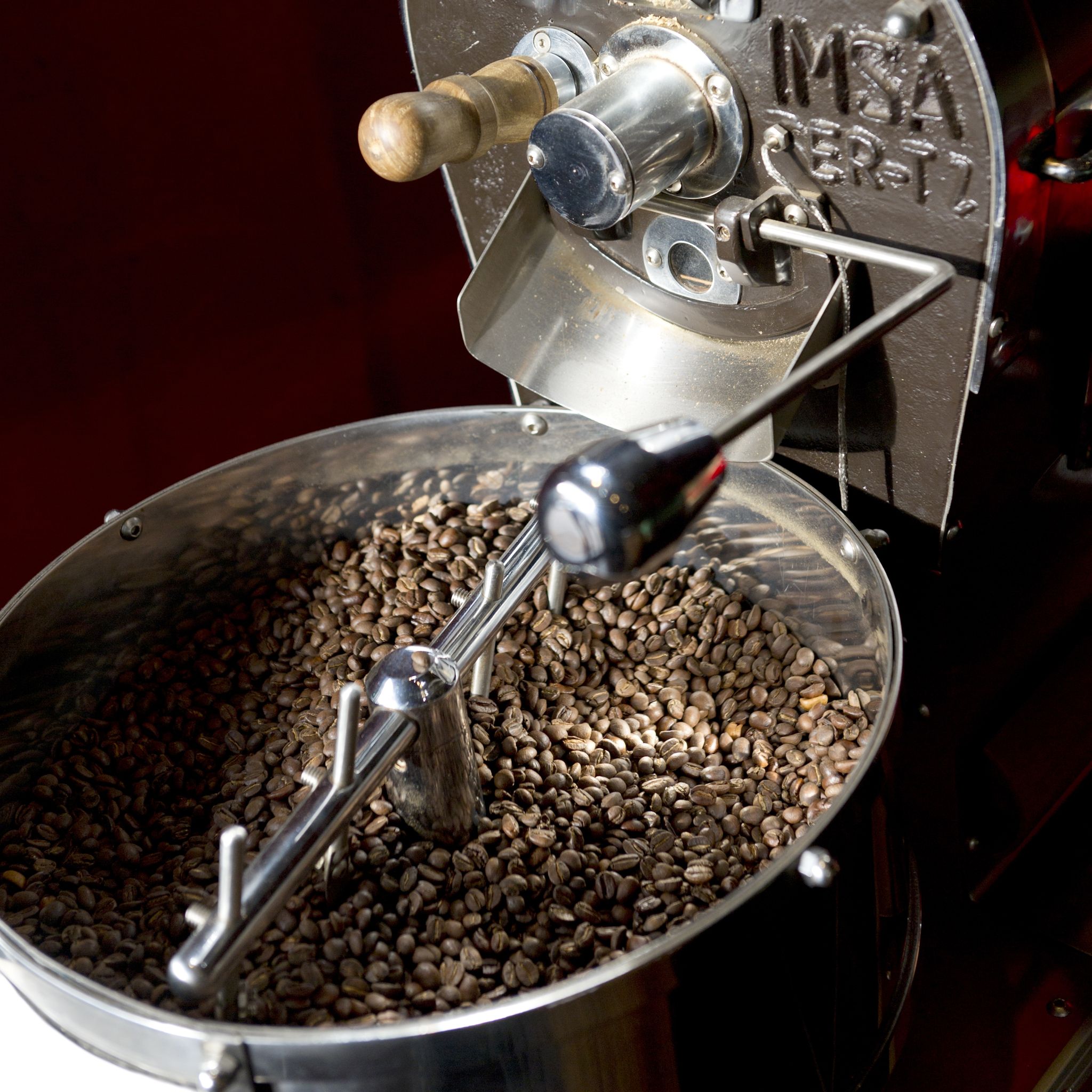 Boost Your Morning Energy With Lion’s Mane Mushroom Coffee