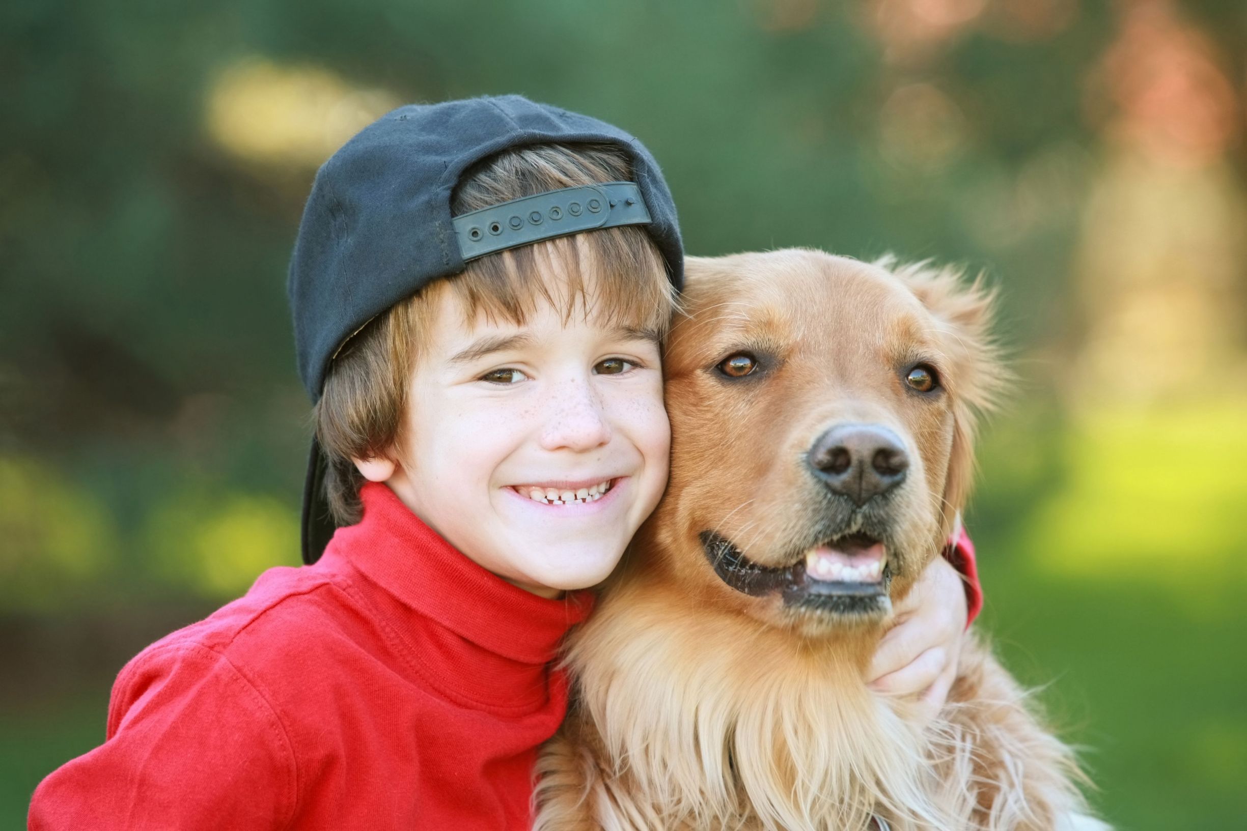 Tips For Planning A Pet Funeral In Utah