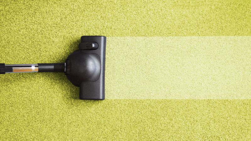 4 Stains Vanquished by a House Carpet Cleaner in Greenwood, IN