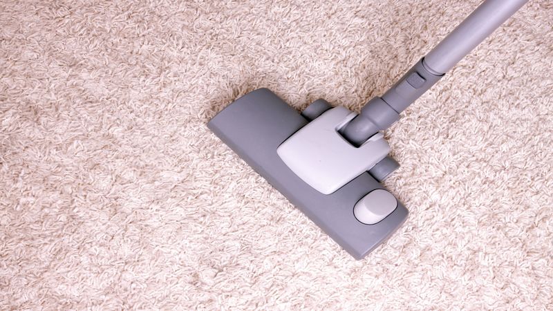 You Can Enjoy Fair Deals On Carpet Cleaning Near Thornton, CO