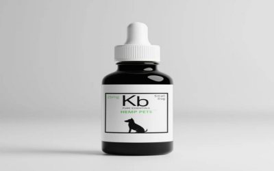 Understanding CBD for Cats: A Complete Overview