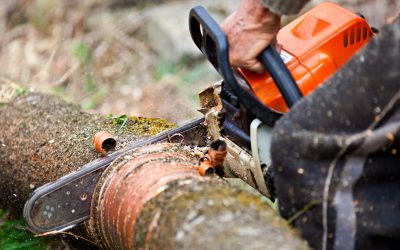 Redding, CA Safe and Effective Tree Removal Services