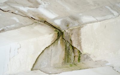 Protect Your Property from Water Damage in Mesa, AZ