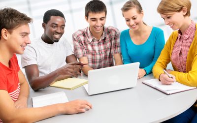 How Intercultural Training Programs Boost Workplace Collaboration Across the United States