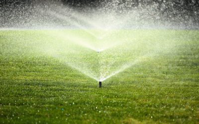 5 Common Problems with Artificial Grass and How Turf Cleaning Fixes Them