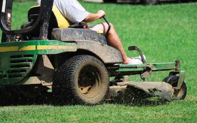 Achieve a Smooth Lawn With Expert Stump Grinding Pensacola FL Techniques