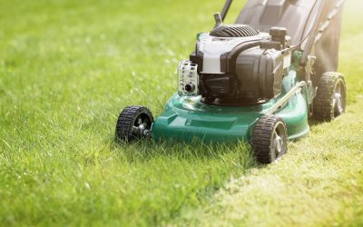 Achieve a Healthier, Greener Grass with Lawn Fertilization in Olive Branch, MS: Methods That Work
