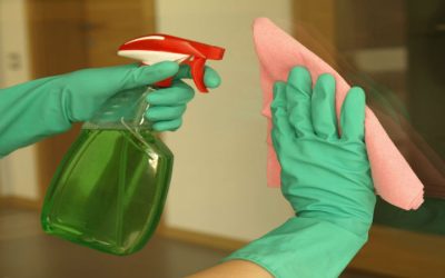Easily Maintain a Spotless Home with Maid Services In South Tampa, FL, that Residents Trust Most