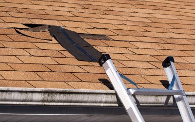 Maximize Roof Lifespan Using Proven Flat Roof Repair Kansas City KS Solutions