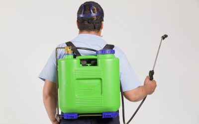 Keep Your Family Safe With Expert Pest Control Services Camp Hill, PA Solutions