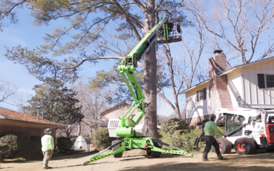 How Tree Trimming & Pruning In Milner, GA, Improves Safety And Curb Appeal For Your Home