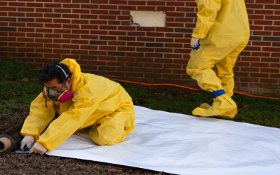 Why Crawlspace Waterproofing In Macon, GA, Is Essential For Healthy Living Spaces