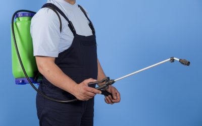 Protecting Your Family with an Expert Pest Control Company Sarasota FL Solution
