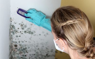 Smart Renovations Begin with Experienced Drywall Contractors Rome GA for Lasting Results
