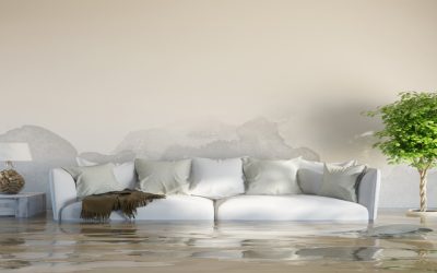 Enjoy A Dry Basement Year-Round By Choosing Basement Leak Repair In Cincinnati, OH Solutions