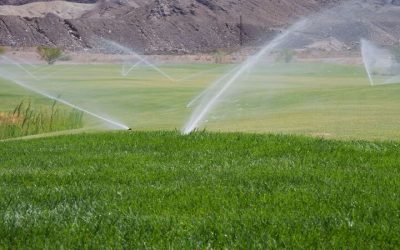 Prevent Water Waste by Choosing Irrigation System Repair In Denver, CO for Smart Lawn Care