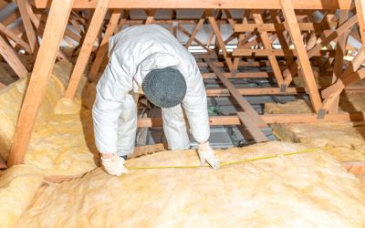 What to Expect From a Professional Insulation Contractor Near Madison, WI
