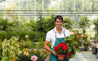 Make Every Occasion Memorable with a Local Florist in Upper St Clair Township, PA Service