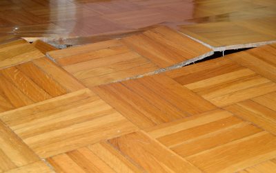 Rapid Solutions for Emergency Water Damage Cleanup in Joliet, IL to Protect Your Home