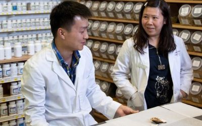 How an Acupuncture Degree Opens Career Paths in Holistic Healthcare Across the USA