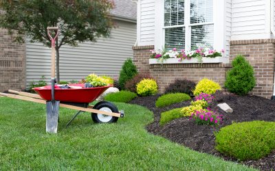 Lawn Fertilization in Wesley Chapel FL: Timing, Soil, and Turf Health
