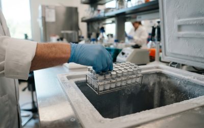 Understanding Storage and Handling for Research Peptide Vials in the USA